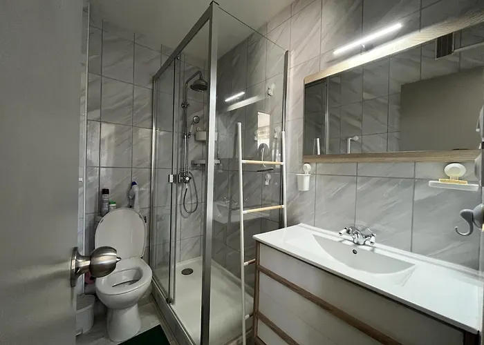 Spacieux T2 Climatise Avec Veranda, 150m Plage, Pkg, Au Coeur De La Grande - 4 Personnes - Fr-1-799-20 Apartment